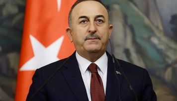 cavusoglu-qenire-pasayevadan-yazdi-foto